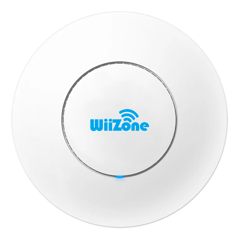 borne wiizone